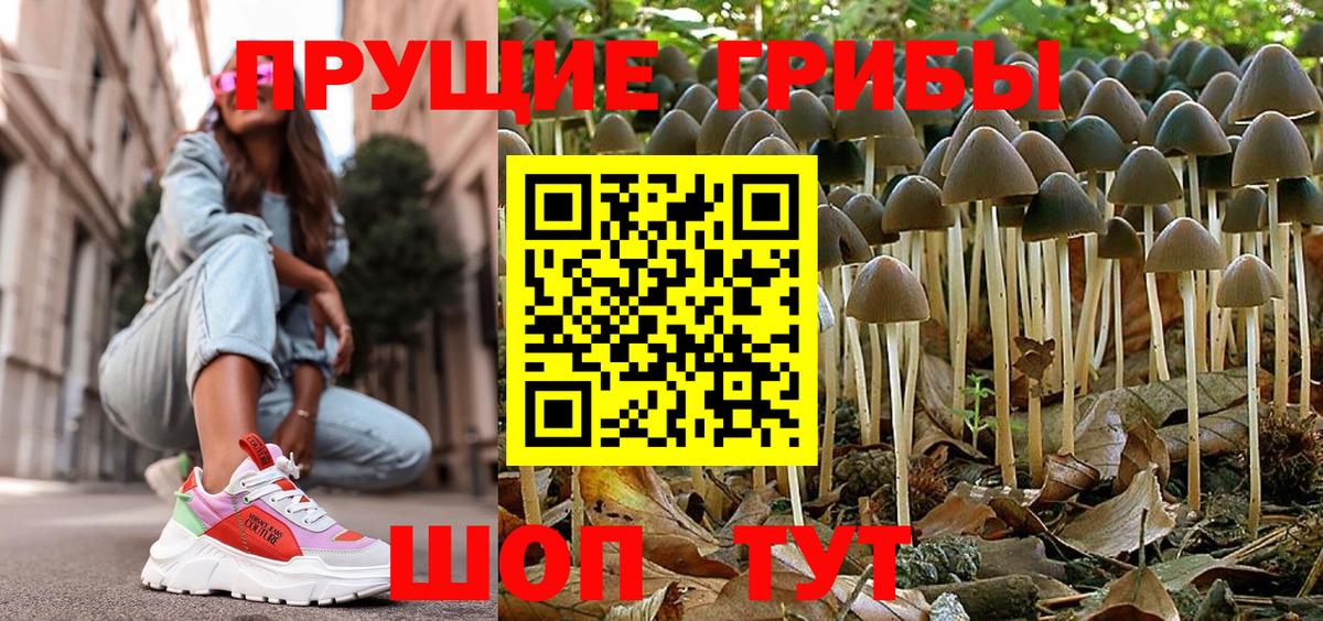 Псилоцибиновые грибы прущие грибы  Вход с VPN  Галлюциногенные грибы ЛСД  Мурманск 