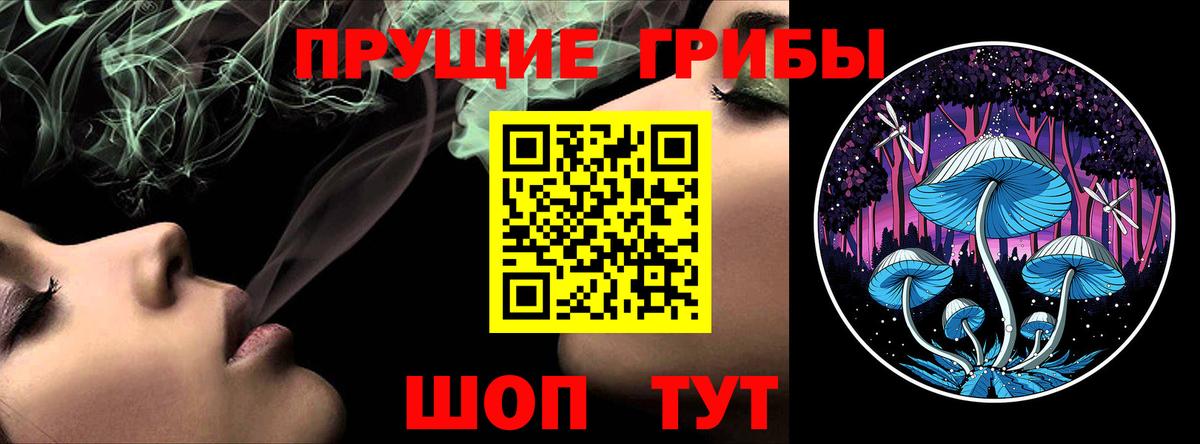 Псилоцибиновые грибы прущие грибы Мурманск